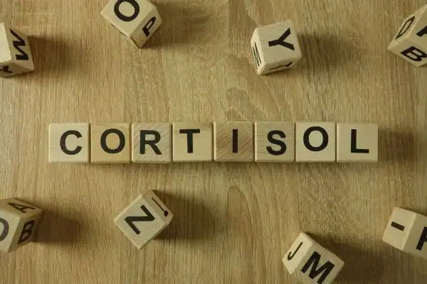 The Hidden Connection: How Stress Shapes Your Fitness and Body Composition 2 Image saying "Cortisol" and how stress West Thurrock impacts your wellbeing and bodies shape